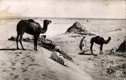Algeria CPA Scenes and standard Saharan Landscape with the desert