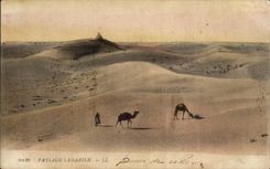 Algeria CPA Scenes and standard Saharan Landscape