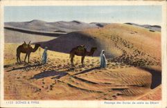 Algeria CPA Scenes and standard Passage of the sand dunes to the desert
