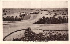 Algeria CPA El wadi gardens in the dunes