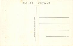 Algeria CPA El wadi gardens in the dunes