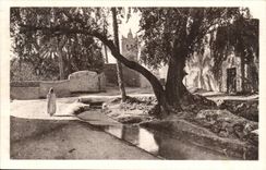 Algeria CPA Biskra the mosque of Sidi Maleck through the trees