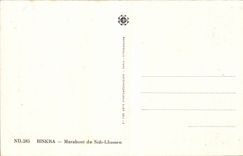 Algeria CPA Biskra Marabout of Sidi Lhassen