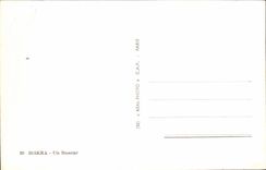 Constantine - Algerien - Algerien - Afrika - Afrika - Biskra - Basour - Kamel - Kamel - CPA