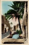 Constantine-- Algerien-- Algerien-- Afrika-- Afrika-- Biskra - Biskra alter Mann - eine Strasse von Bab Darb - CPA