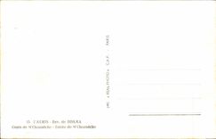 Algeria - Africa - Aures Env de Biska - Oasis Mr Chouneche - CPA