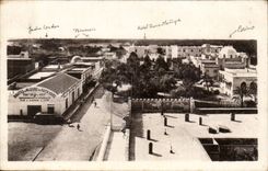 Algerien - Afrika - Biskra - Constantine - Ansicht uber den Weg - Kamel - Kamel - CPA