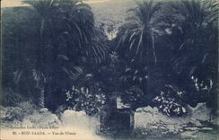 Algeria Bou Saada CPA Seen of the oasis