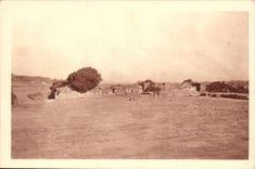 Algeria CPA Tipasa Forum