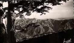 Algeria CPA Chrea Station of summer and winter in the drill of cedars