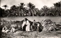 Algeria Biskra CPA Constantine Camping