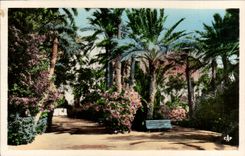 Algeria Biskra CPA Constantine Garden landon an alley