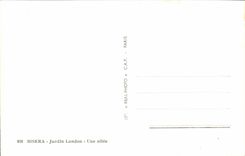 Algeria Biskra CPA Constantine Garden landon an alley