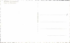 Algerien Biskra CPA Constantine in der Palmenplantage