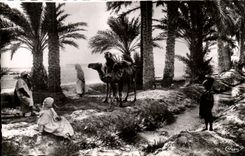 Algerien Biskra CPA Constantine in der Oase