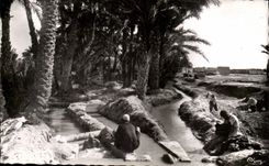 Algerien Biskra CPA Constantine in Richtung zu Mcid