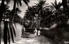 Algerien Biskra CPA eine Strasse von Bab Darb