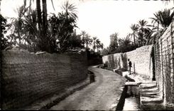 Algerien Biskra CPA eine Strasse von Bab Darb