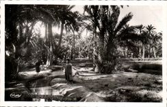 Palmen Algerien-Biskra CPA Constantine - Datumpalmen