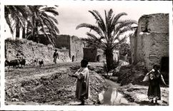 Algerien Biskra CPA Constantine mit dem alter Mann Widerhaken darb