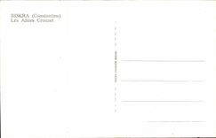 Algerien Biskra CPA Constantine die Crouzet Gassen