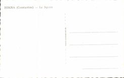 Algerien Biskra CPA Constantine der allgemeine Garten