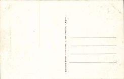 Algerien Biskra CPA Constantine in den Dunen (Kamelkamel)