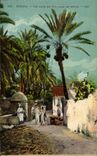 Algeria Biskra Constantine CPA a corner of the village of Mr Cid