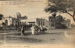 Algeria Biskra Constantine CPA the casino (ass donkey)