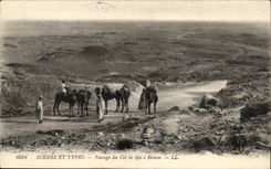 Algeria Constantine CPA Passage of the collar of Sfa has Biskra (camel camels)