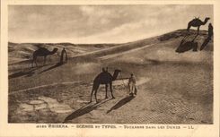 Algeria Constantine CPA Biskra Tuaregs in the dunes
