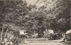 Algeria CPA Surroundings of Blida Falls of Chiffa Brook of the monkeys