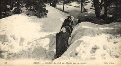 Algeria CPA Blida Path of the collar of Chrea by snow