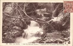 Algeria CPA Environs of Blida Gorges of Chiffa Cascades of the brook of the monkeys