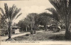 Algeria CPA Tipaza Park of the Tremeaux Property