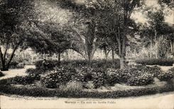 Algeria CPA Marnia a corner of the public garden