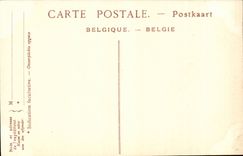 Belgie Belgium Brussels CPA the town hall