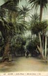 Algerien Algiers CPA Jardin von Tests Allee ds joucas