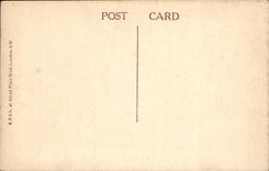 Albert Durer CPA Old man's head