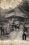 Suisse CPA Retour au chalet (folklore vaches)