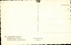 Suisse - Schweiz - Une Rose de lausanne Ouchy - CPA 