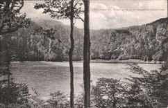Allemagne Feldsee m Seebuck u Bismarckdenkmal