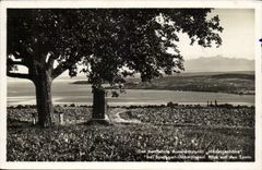 Deutschland - Allemagne - Der herrlichste Aussichtpunkt bei Spettgarl Ueberlingen - CPA 