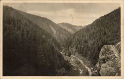 Allemagne CPA Aus dem Bernecktal
