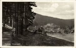 Germany CPA Herrenalb Schwarzwald