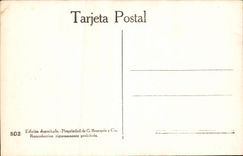 Argentina Buenos Aires CPA Palmeras in the regoleta (palm trees)