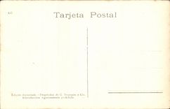 Argentina Buenos Aires CPA Palm trees Paseo Colonist