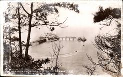 The United States CPA Old pier from the woods Weston supermare