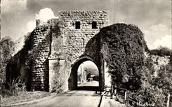 Layered branches MODERN CARD the door St Jean