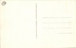 Vichy CPA Source des Clestins Entree (Lucien Woog)